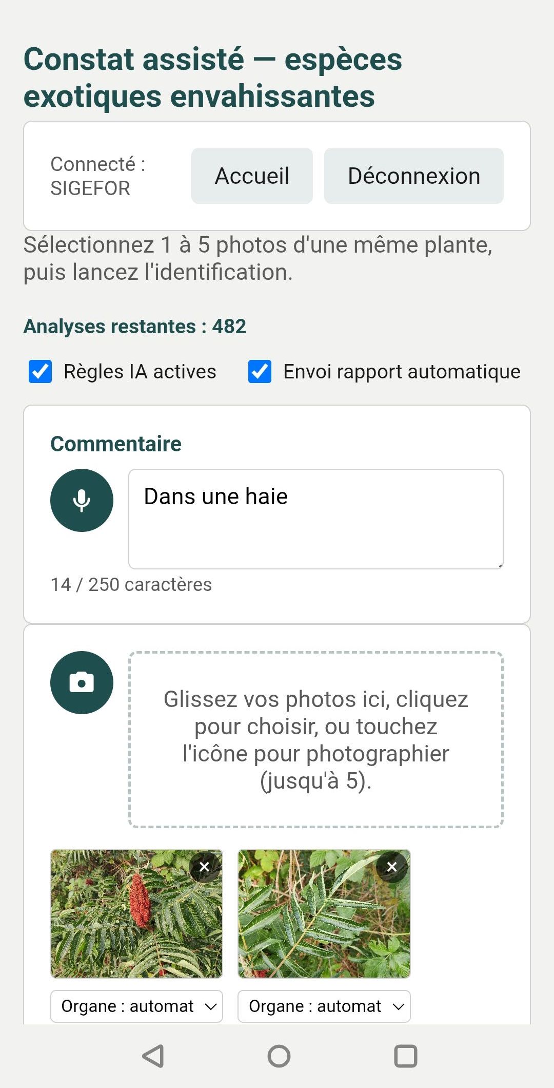 Saisie du commentaire et ajout des photos d'une même plante