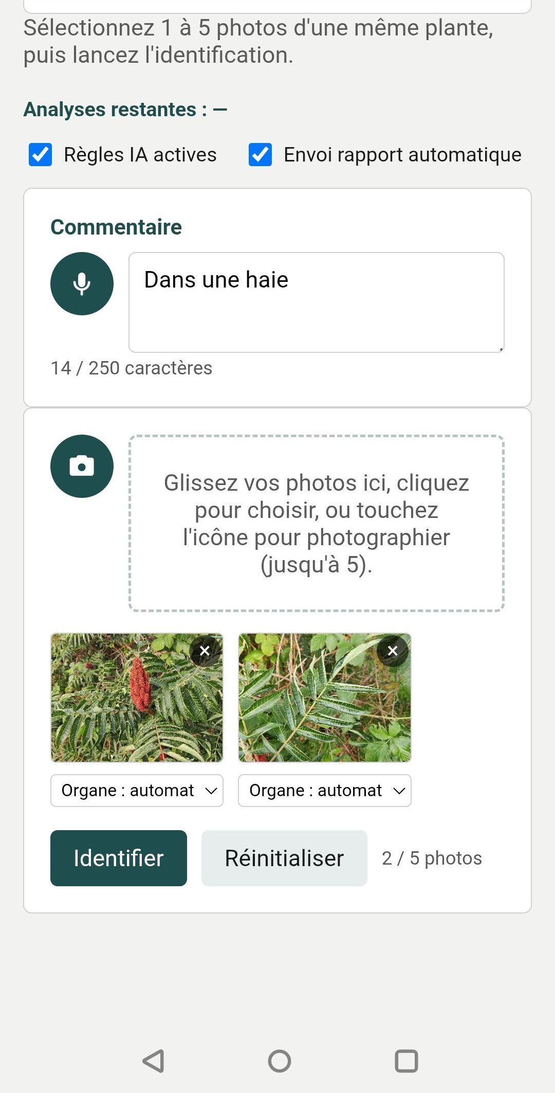 Lancement de l'identification sur les photos sélectionnées