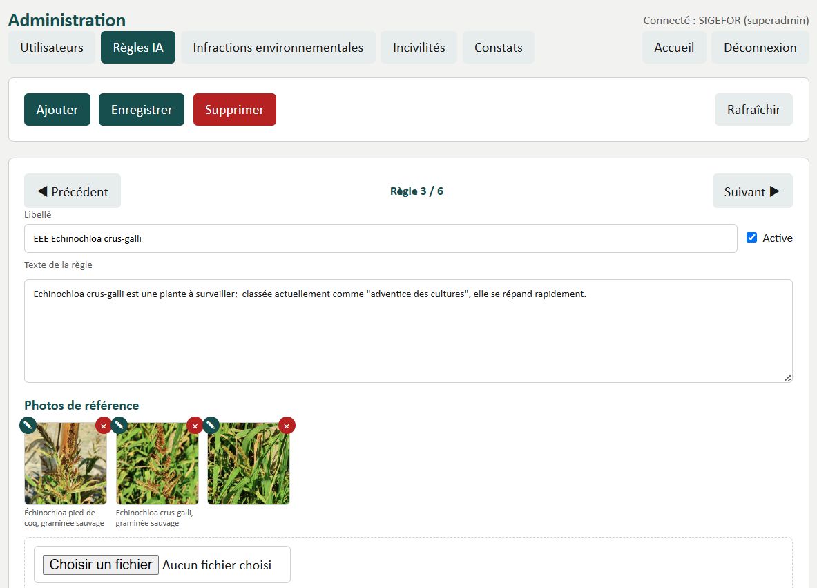 Règle IA de veille sur Echinochloa crus-galli dans le module Espèces exotiques envahissantes